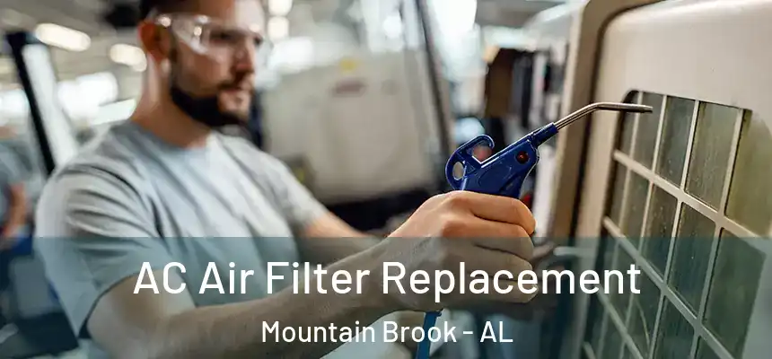  AC Air Filter Replacement Mountain Brook - AL