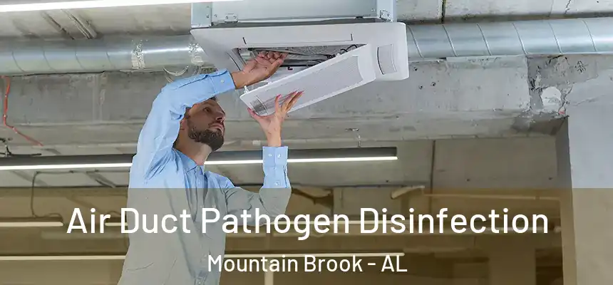 Air Duct Pathogen Disinfection Mountain Brook - AL