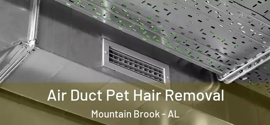  Air Duct Pet Hair Removal Mountain Brook - AL