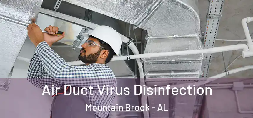 Air Duct Virus Disinfection Mountain Brook - AL