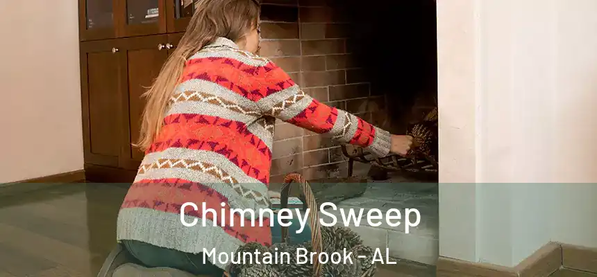  Chimney Sweep Mountain Brook - AL
