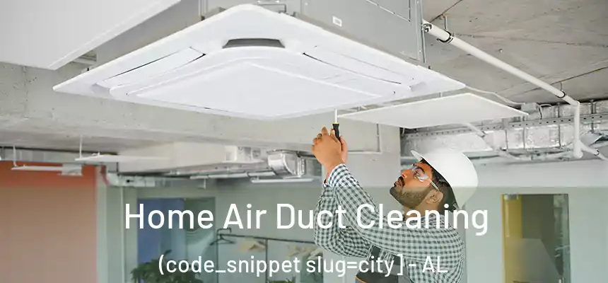  Home Air Duct Cleaning (code_snippet slug=city] - AL