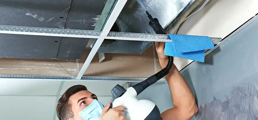 Our Air Duct Rodent Removal Services in Mountain Brook, AL