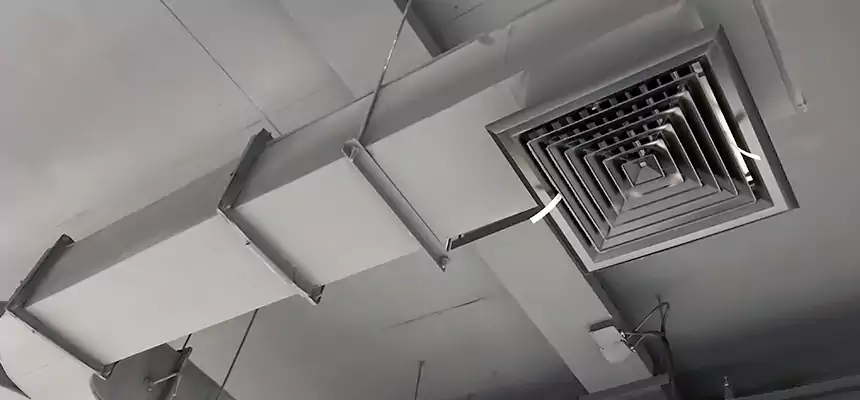 Restorative Allergy Relief Vent Cleaning – Coil, Blower & Housing Detail in Mountain Brook