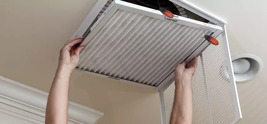 Our Insect Removal from Air Ducts Services in Mountain Brook, AL