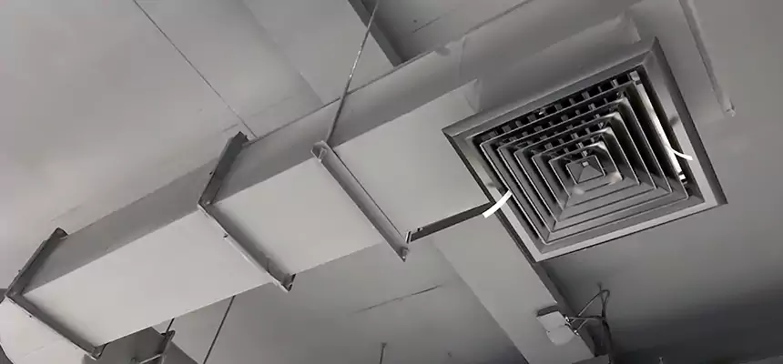 Our Pest Removal From Ducts Services in Mountain Brook, AL