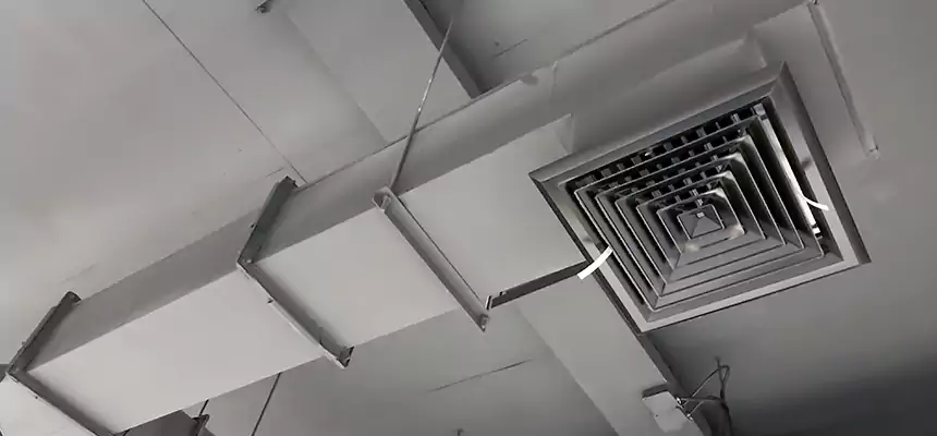 Our Rodent Droppings In Vents Services in Mountain Brook, AL