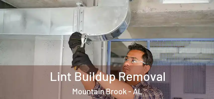  Lint Buildup Removal Mountain Brook - AL