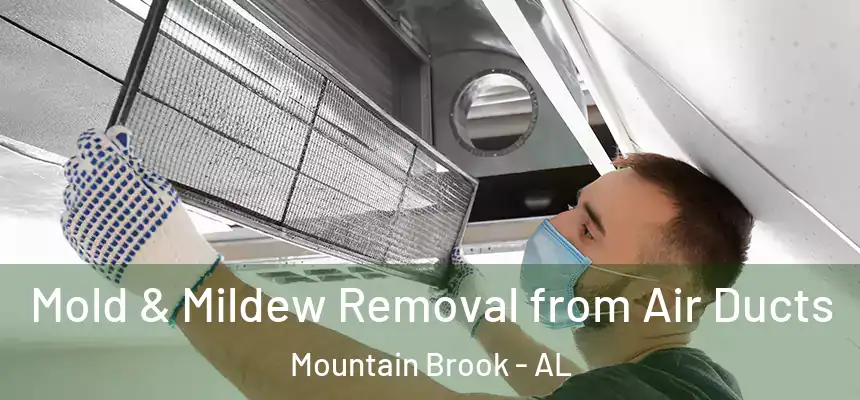Mold & Mildew Removal from Air Ducts Mountain Brook - AL