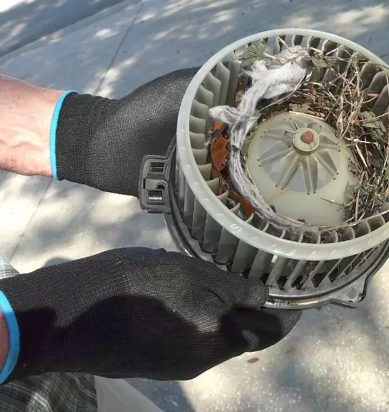 About Air Duct Mice Removal in Mountain Brook, AL