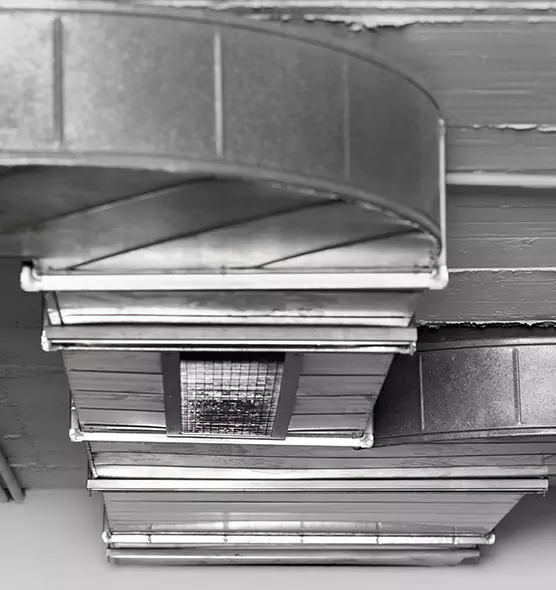 Professional Air Duct Pet Hair Removal in Mountain Brook, AL