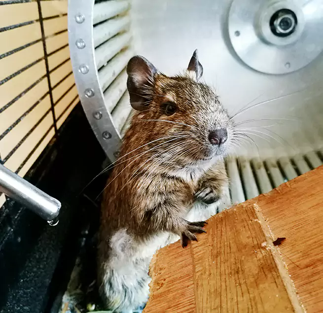 Why Homeowners & Businesses Trust Us Mountain Brook, AL