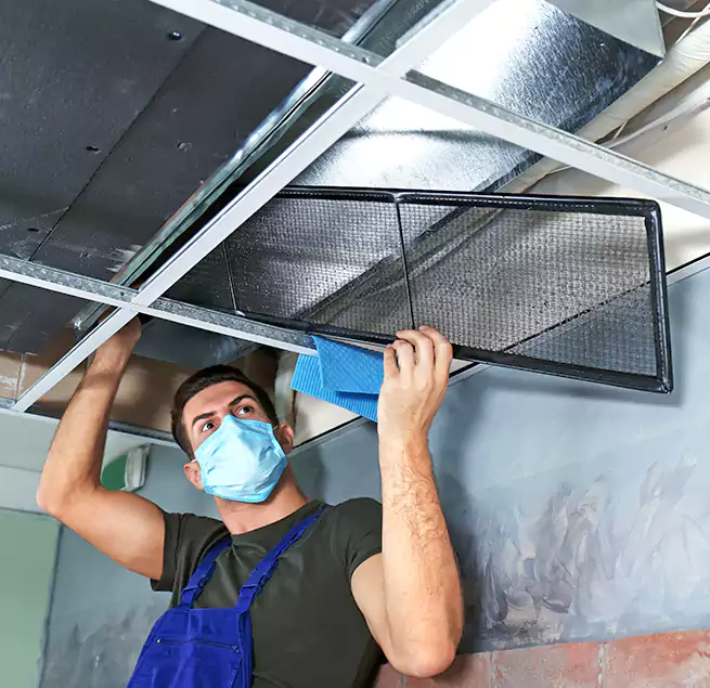 Why Homeowners Businesses Trust Us in Mountain Brook, AL