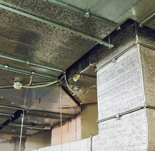 Why Homeowners & Businesses Trust Us in Mountain Brook, AL?